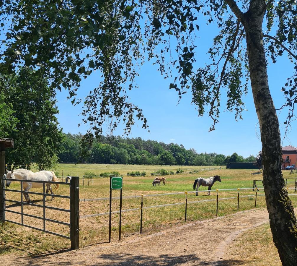 Kur-& Landhotel Borstel - Treff Dabel Exteriér fotografie
