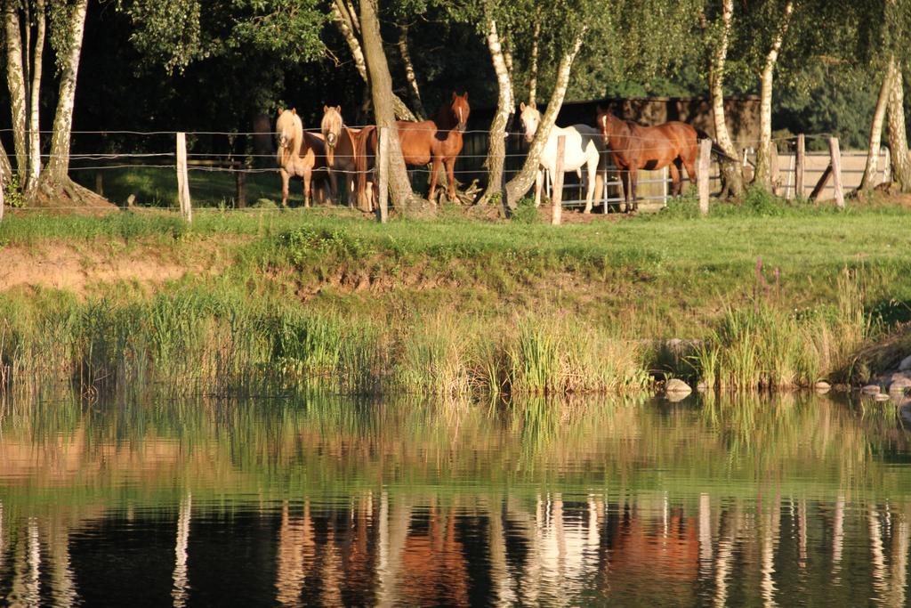 Kur-& Landhotel Borstel - Treff Dabel Exteriér fotografie