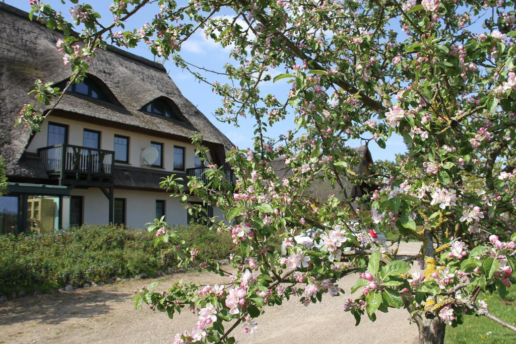 Kur-& Landhotel Borstel - Treff Dabel Exteriér fotografie
