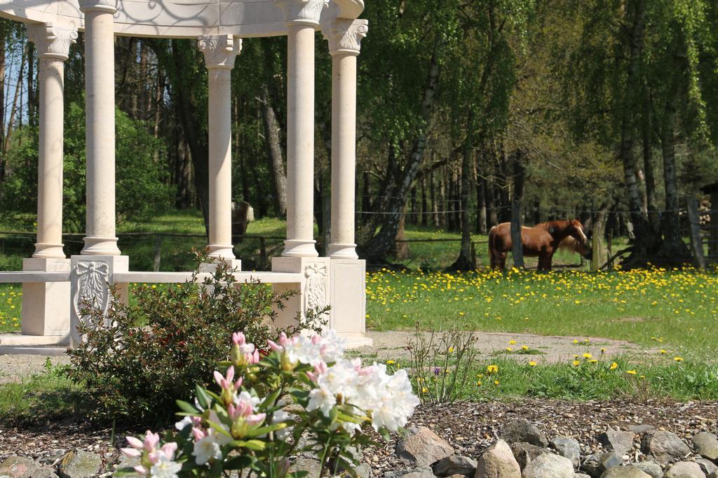 Kur-& Landhotel Borstel - Treff Dabel Exteriér fotografie